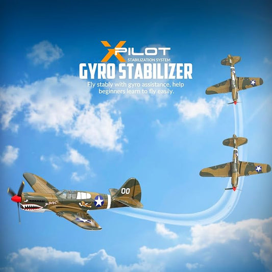 VOLANTEXRC 4 Channel P40 Fighter RC Airplane