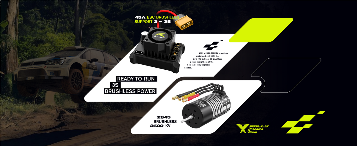 RLAARLO XTS-P12 1:12 Brushless RC Rally Car