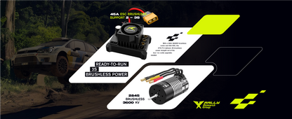 RLAARLO XTS-P12 1:12 Brushless RC Rally Car