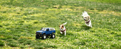 C24 1:16 4WD RC Rock Crawler Pickup Truck