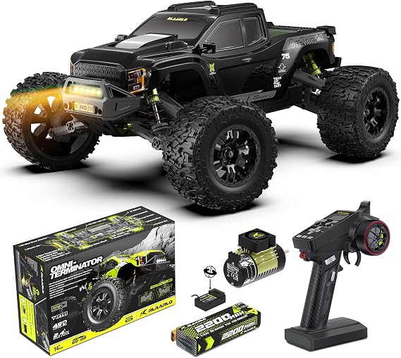 RIAARIO Carbon Fiber Omni Terminator 1:10 4WD Brushless Monster Truck