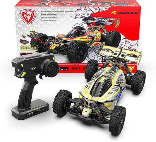 Rlaarlo DSK 1:8 4WD Brushless RC Buggy Car