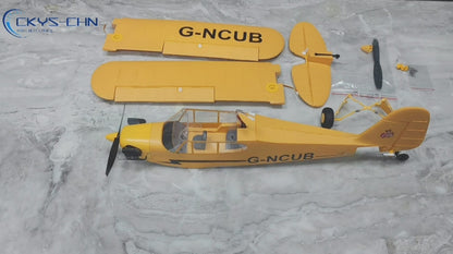 WLtoys A160 J3 Skylark 5 Channel RC Plane