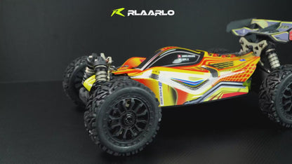 Rlaarlo DSK 1:8 4WD Brushless RC Buggy Car